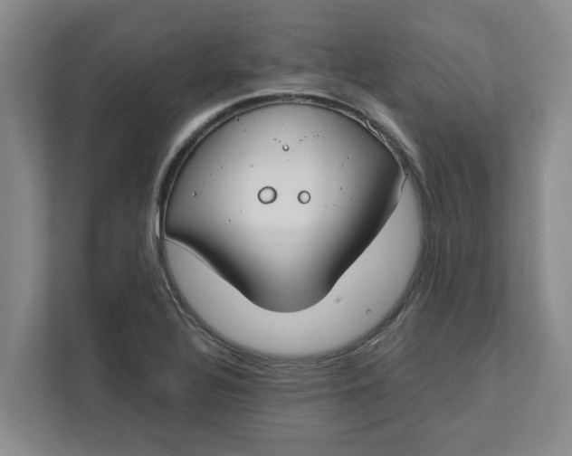 X0000111881320200908061306