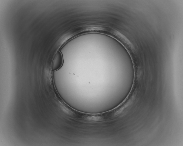 X0000111881321200908061306