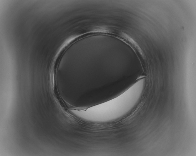 X0000111881323200908061306