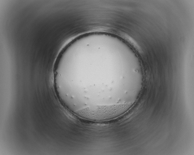 X0000111881324200908061306