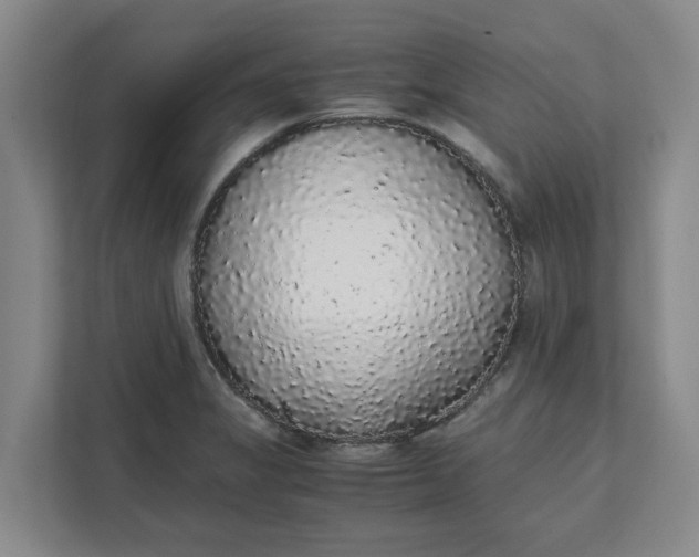 X0000111881325200908061306