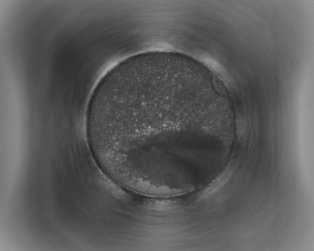 X0000111881326200908061306