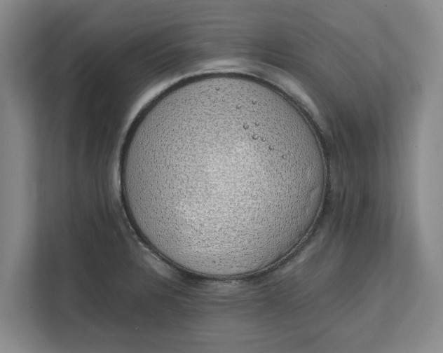 X0000111881328200908061306