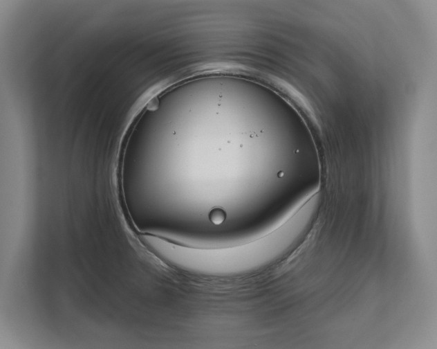 X0000111881330200908061306