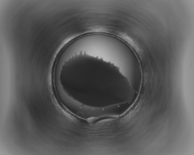 X0000111881331200908061306