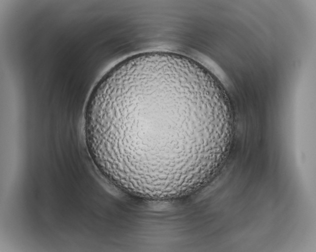 X0000111881332200908061306