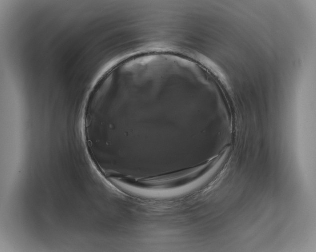 X0000111881334200908061306