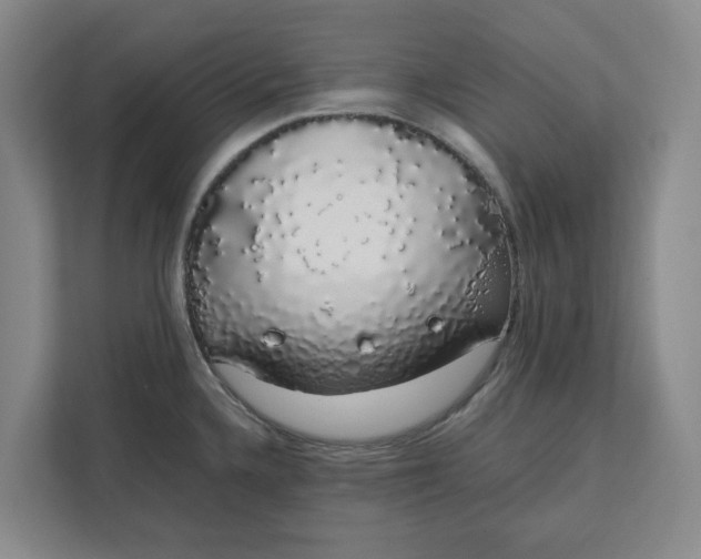 X0000111881336200908061306