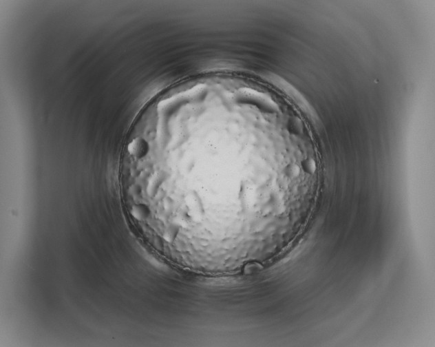 X0000111881337200908061306