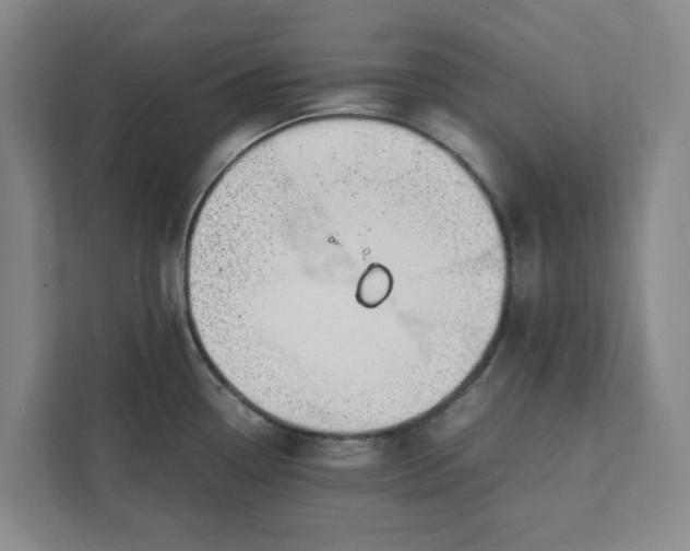 X0000111881338200908061306