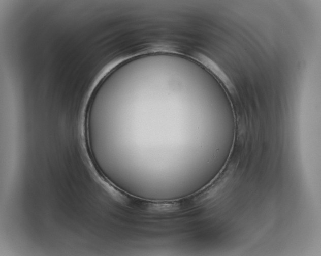 X0000111881339200908061306