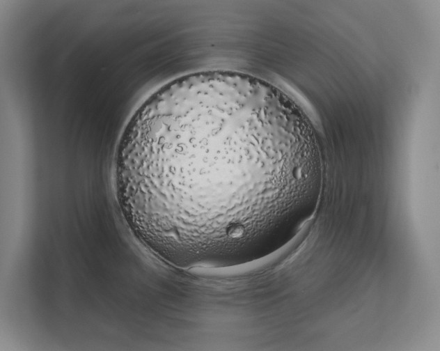 X0000111881340200908061306