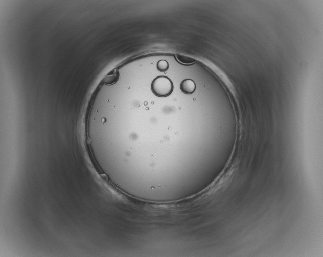 X0000111881341200908061306