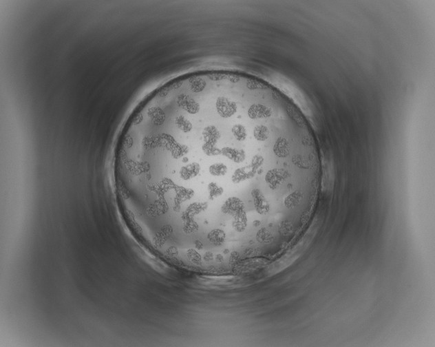 X0000111881342200908061306