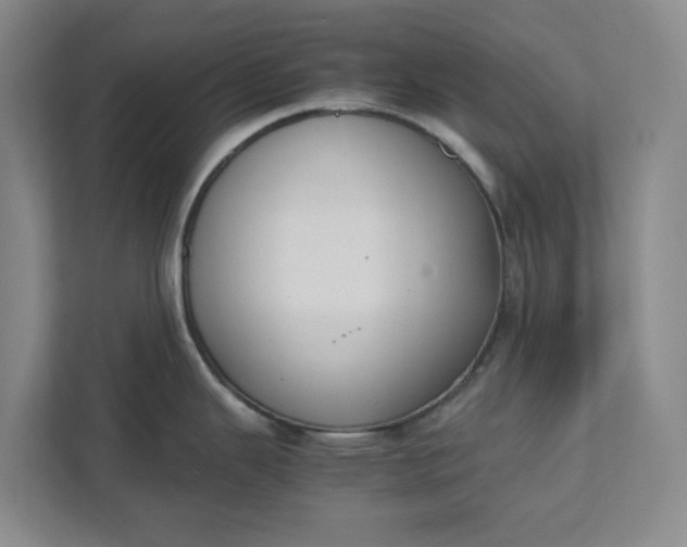 X0000111881343200908061306