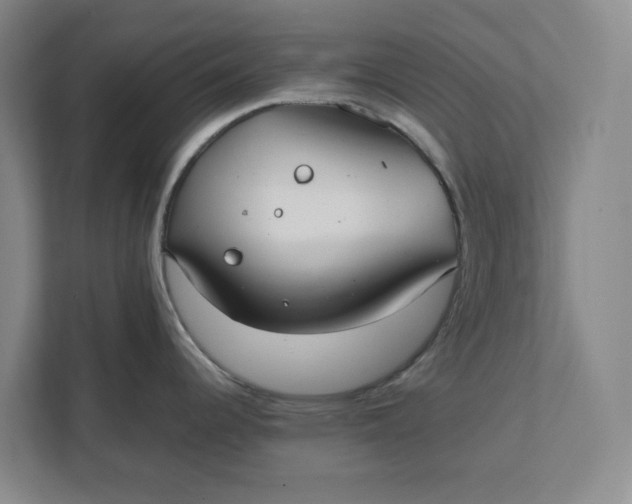 X0000111881344200908061306