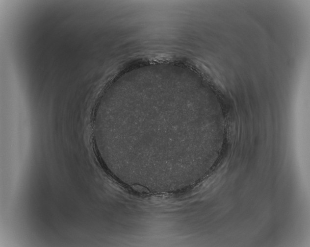 X0000111881345200908061306