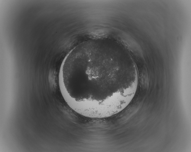 X0000111881346200908061306