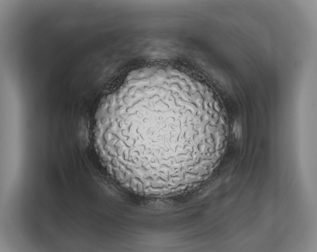 X0000111881348200908061306