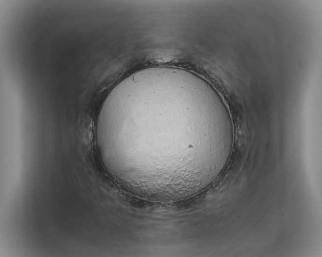 X0000111881349200908061306