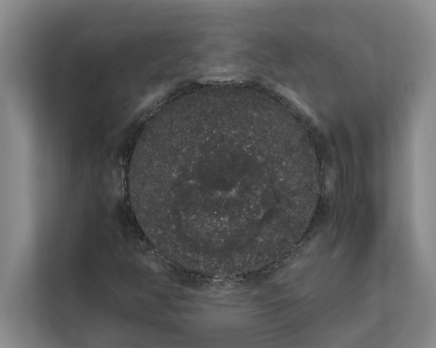 X0000111881350200908061306