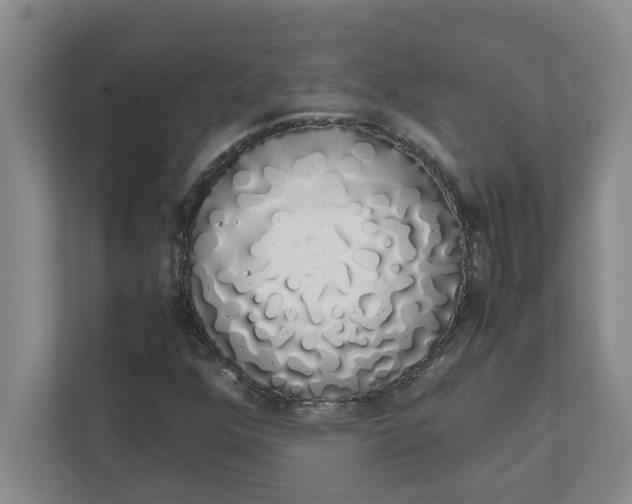 X0000111881352200908061305