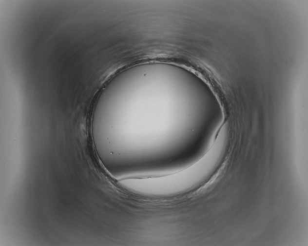 X0000111881353200908061305