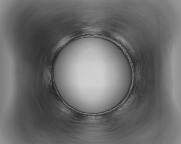 X0000111881354200908061305