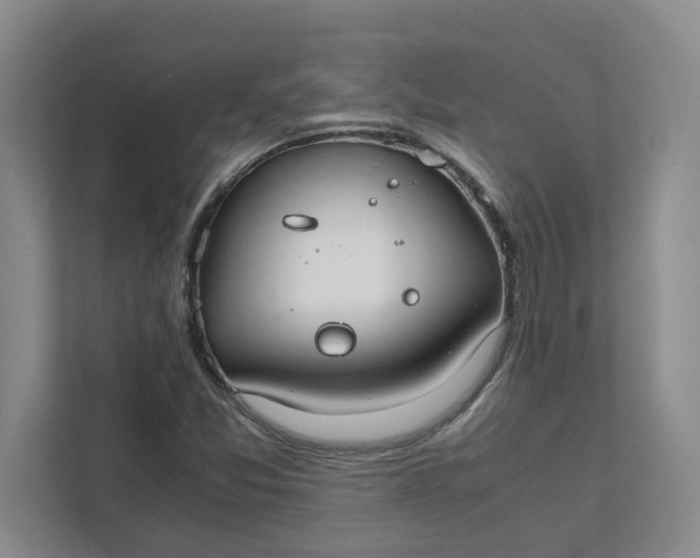 X0000111881357200908061305