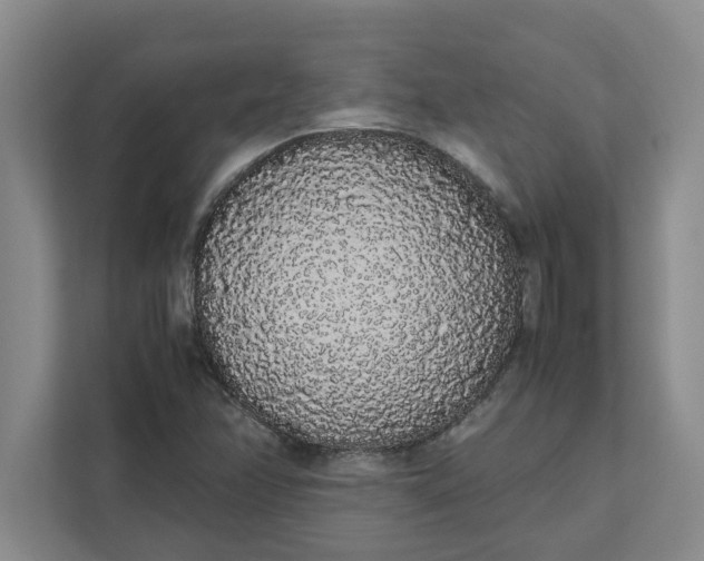 X0000111881358200908061305