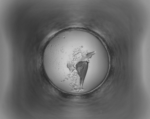 X0000111881359200908061305