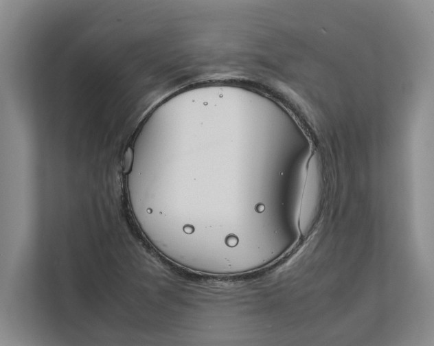 X0000111881361200908061305