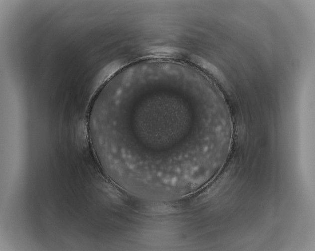 X0000111881362200908061305