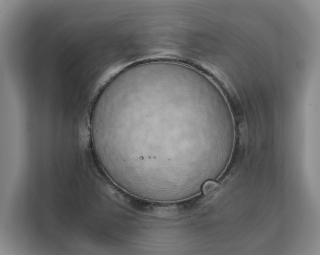 X0000111881363200908061305