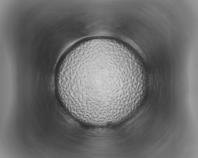 X0000111881364200908061305