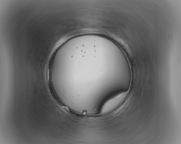 X0000111881365200908061305