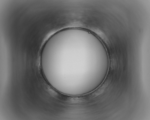 X0000111881366200908061305