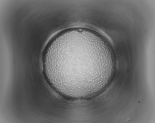 X0000111881368200908061305