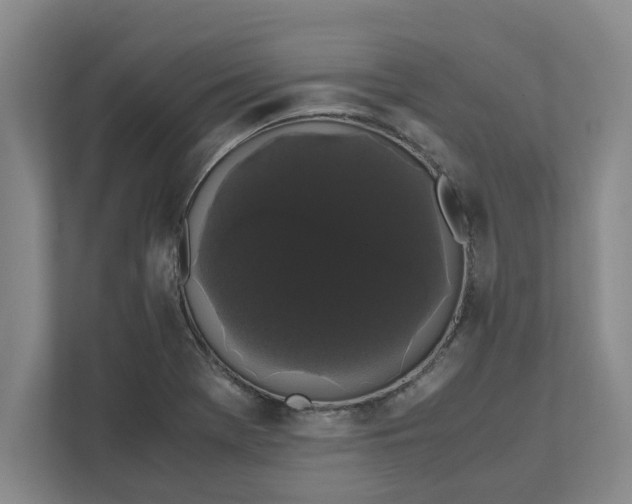 X0000111881369200908061305