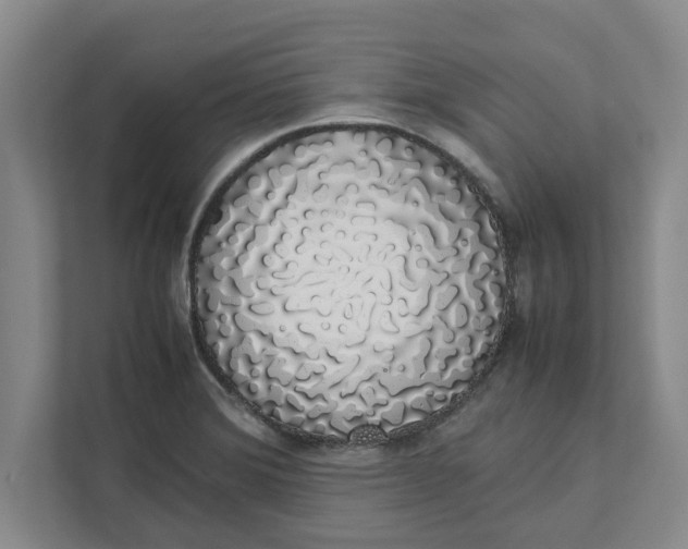 X0000111881372200908061305