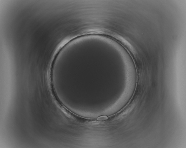 X0000111881373200908061305