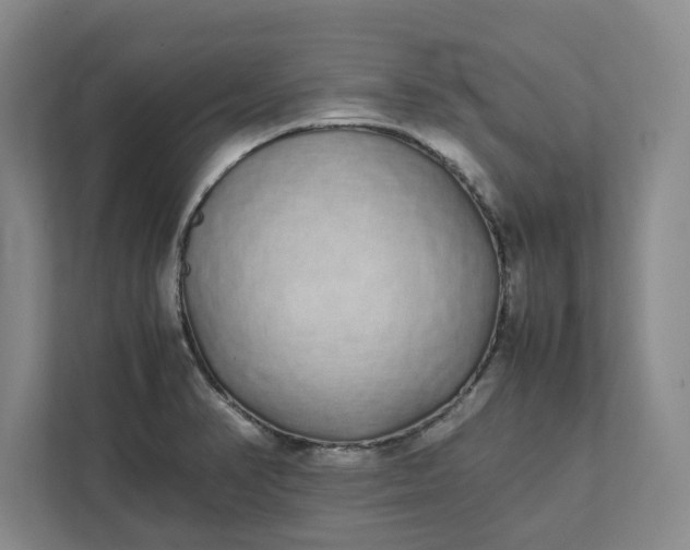 X0000111881374200908061305