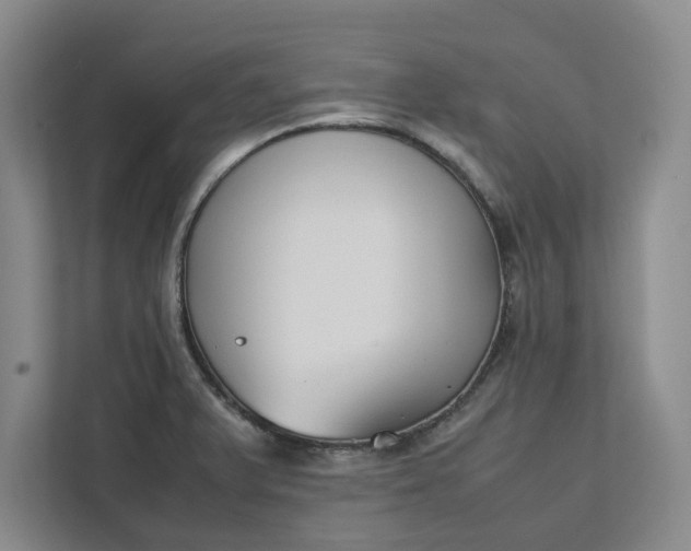 X0000111881375200908061305