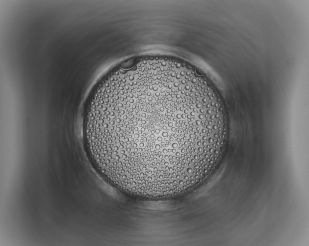 X0000111881376200908061305