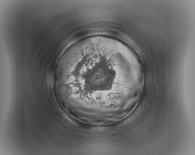 X0000111881377200908061305