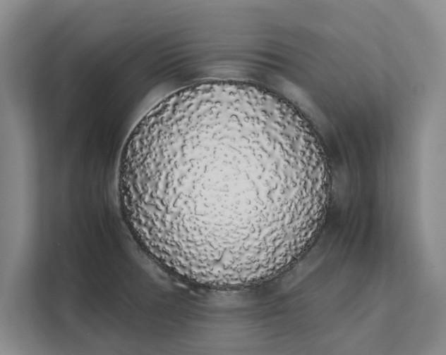 X0000111881378200908061305