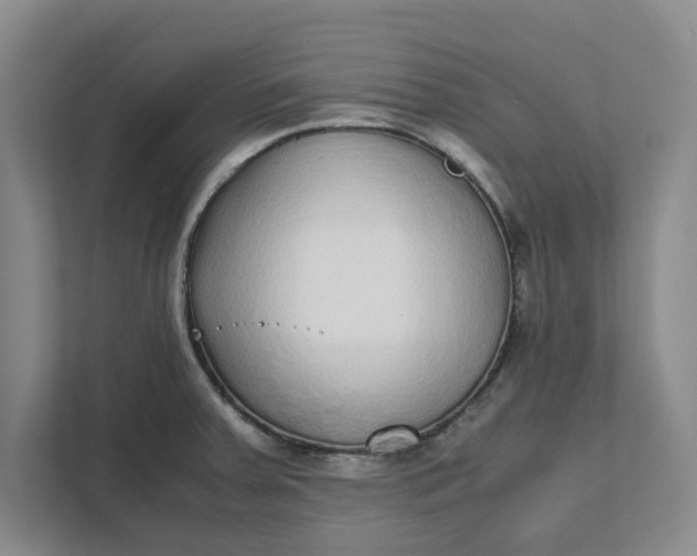 X0000111881379200908061305