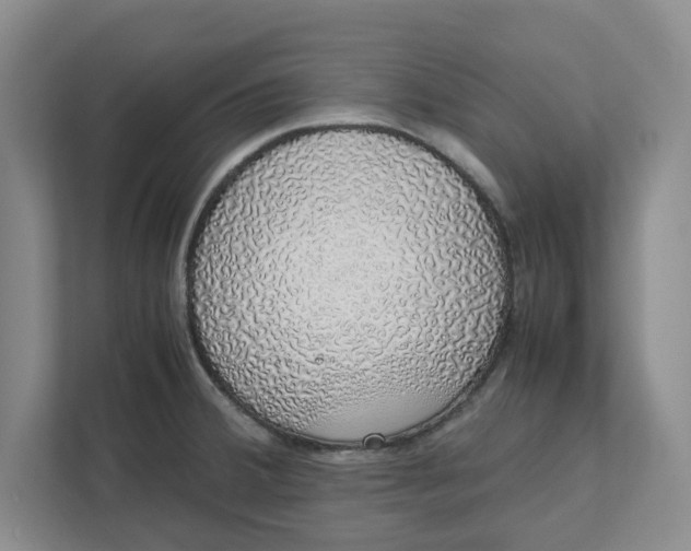 X0000111881380200908061305