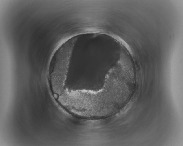 X0000111881381200908061305