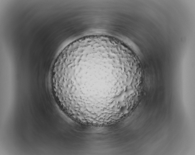 X0000111881382200908061305